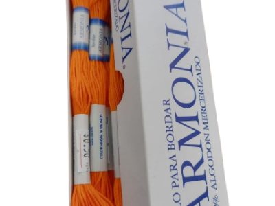 Hilo Pasa Para Bordar Madeja Color Zanahoria — MKS Mercería
