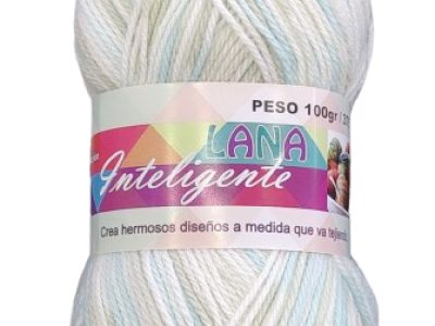 Lana Inteligente 100 Gr Blanco Con Celeste — MKS Mercería