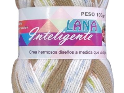 Lana Inteligente 100gr Color Celeste Con Cafe — MKS Mercería